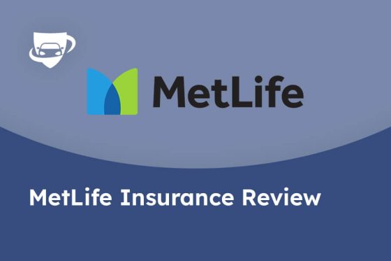 MetLife Insurance Review