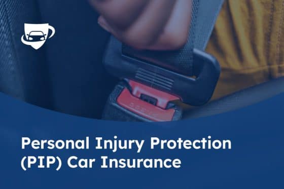129 Personal Injury Protection Car Insurance