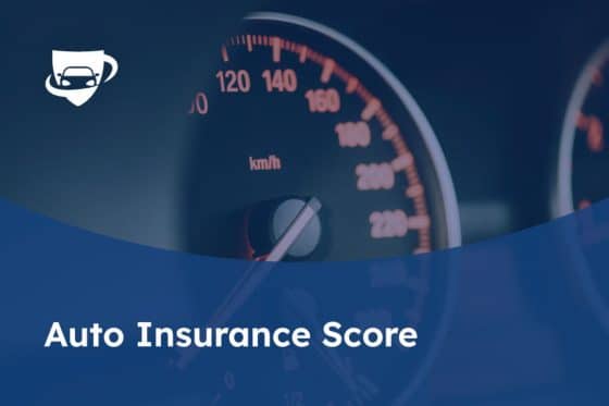 132 Auto Insurance Score