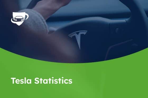 144 Tesla Statistics