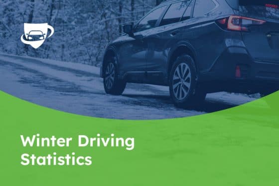 148 Winter Driving Statistics