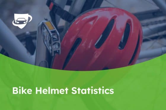 172 Bike Helmet Statistics