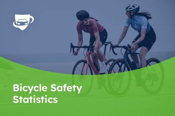 173 Bicycle Safety Statistics