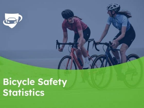173 Bicycle Safety Statistics