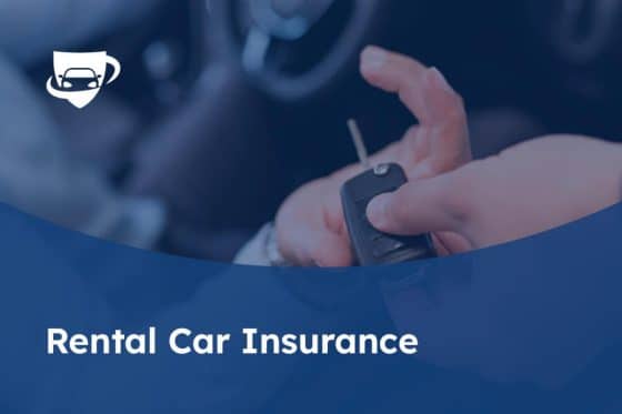 195 Rental Car Insurance