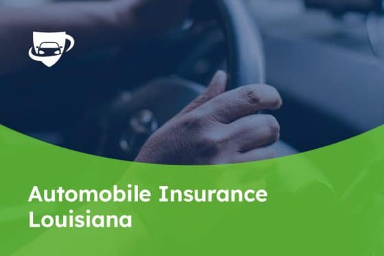 78 Automobile Insurance louisiana